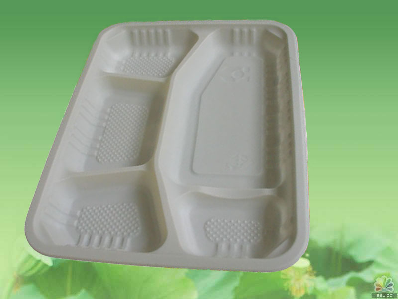 Biodegradable Five-Cell Tray