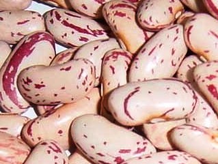 Light Speckled Kidney Beans(LSKB)