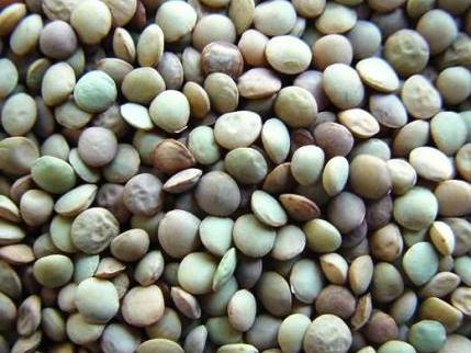 Lentils