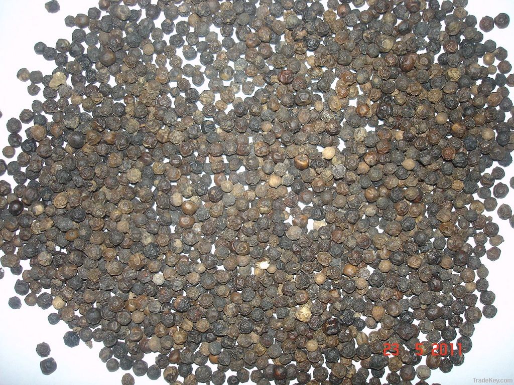 Black Pepper