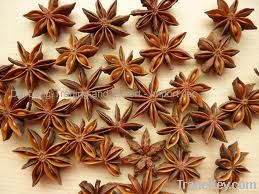 Star Aniseed