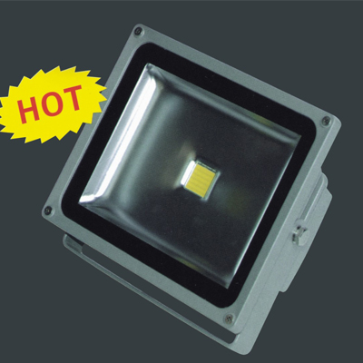 LED Floodlight