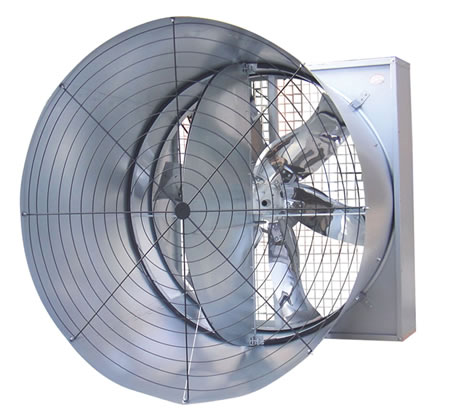 Butterfly cone fan with CE certificate