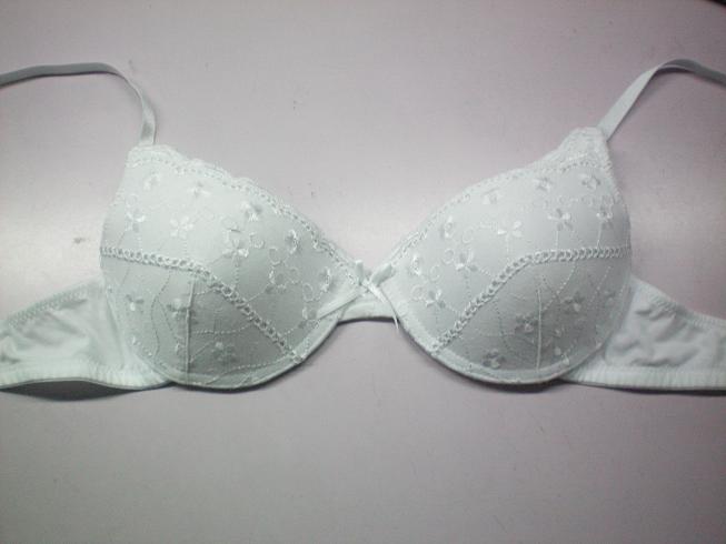 Ladies embroidery hot bra