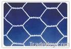 hexagonal wire mesh