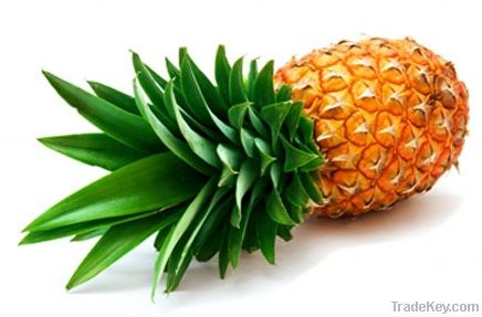 Pineapple juice concentrate