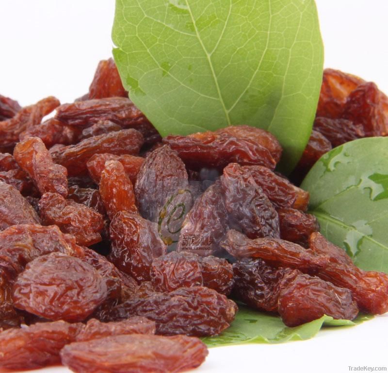 Raisins