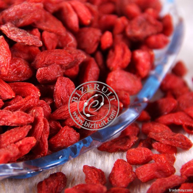 Sell Goji/Wolfberry