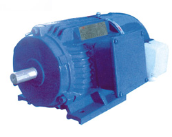 YVP Series Motor