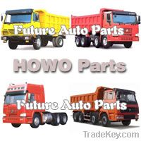 Truck Spare Parts ( HOWO ) 