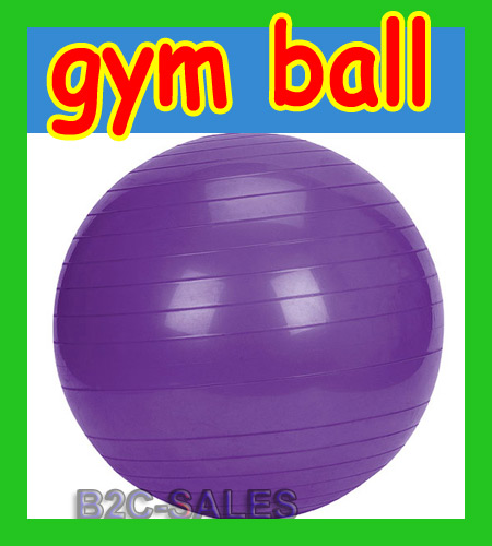 New 65cm Body Building Ball Massage Ball gym Ball Blue Purple