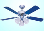 Ceiling fan