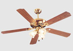 Ceiling fan