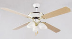 Ceiling fan