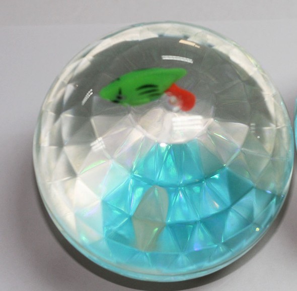 LED pet ball