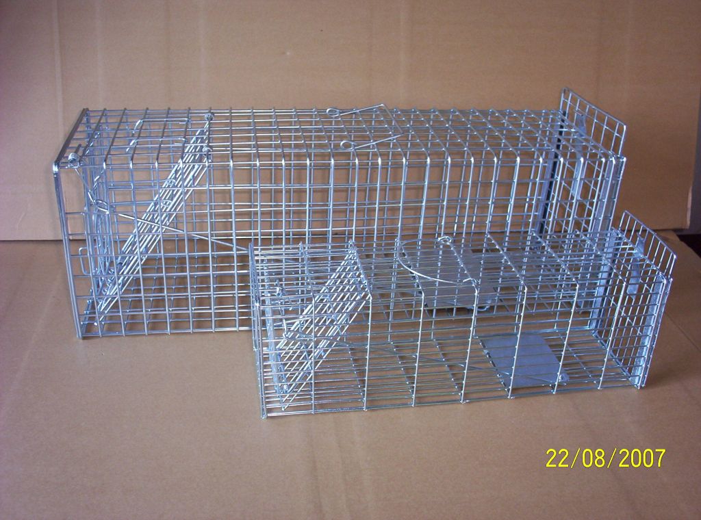 animal trap cage for cat trap, fox trap, squirrel trap