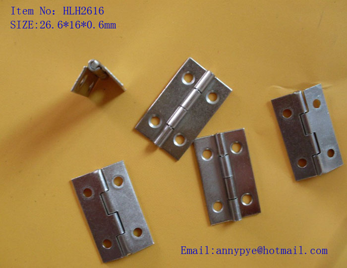 Small Hinges