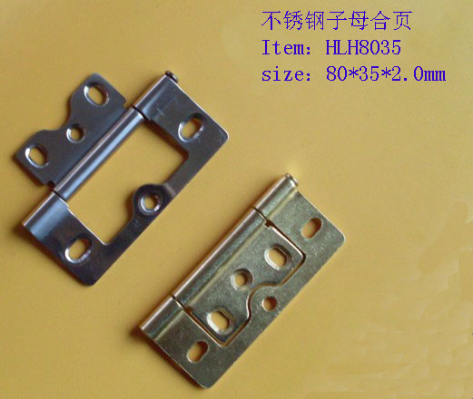 stainless steel flush hinge