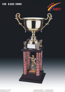 Custom trophy  crystal troph metal trophy  (Free engraving LOGO words)