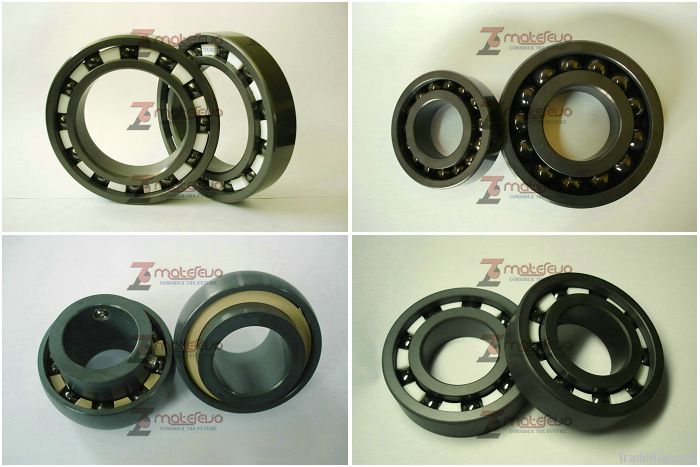 Silicon Nitride Bearing