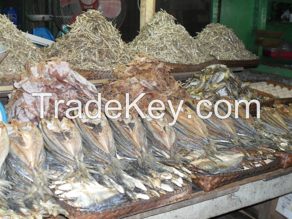 Dried Fish