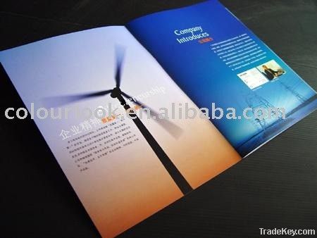 Chinese best business catalogue printing