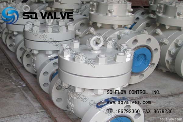 Swing Check Valve