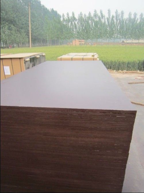 1250*2500mm plywood for building