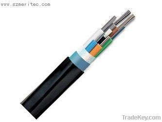 Fiber Optical Products and  Wireless Communication Products