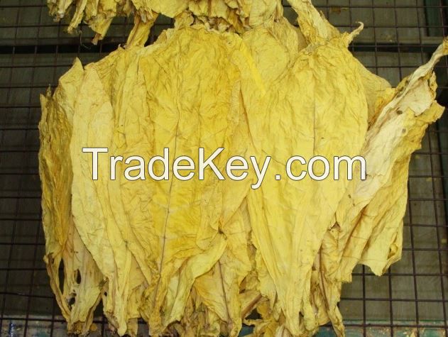 virginia tobacco leaf