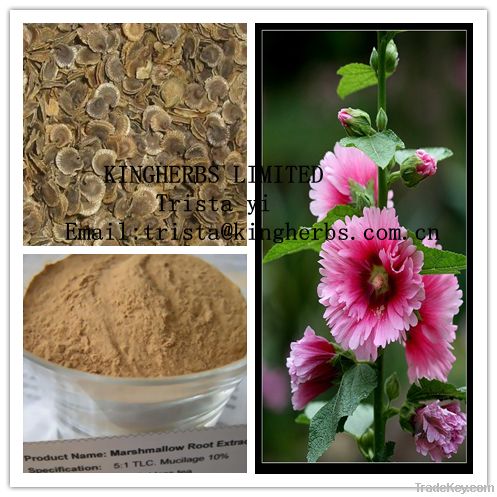 Marshmallow Root Extract