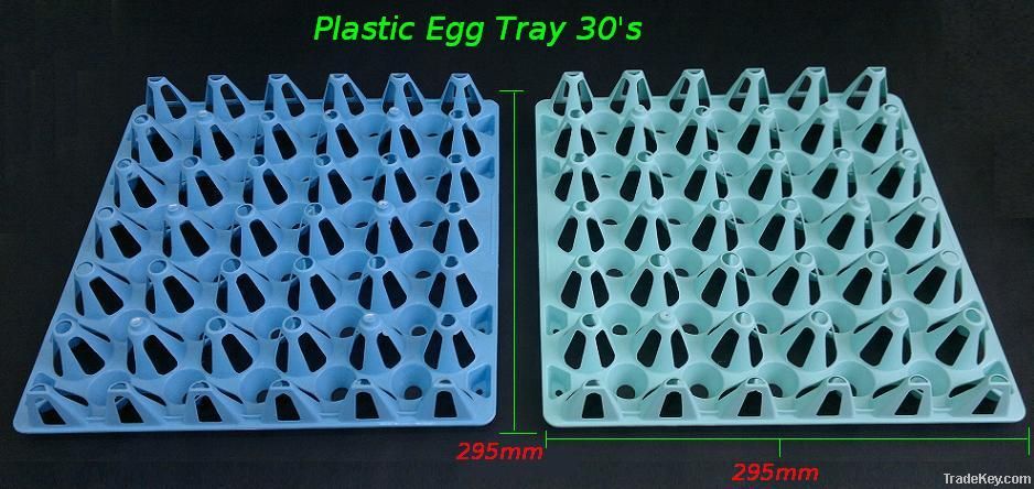Plastic Egg Tray 30's