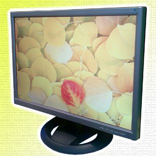 20.1 inch wide LCD TV/Monitor