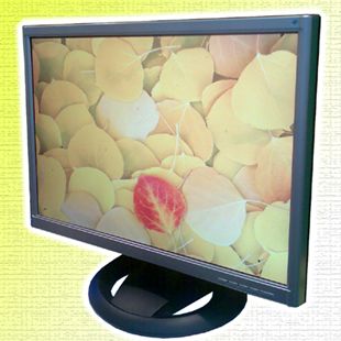 22.0 inch wide LCD TV/Monitor