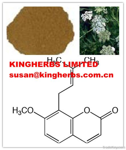 Common Cnidium Extract