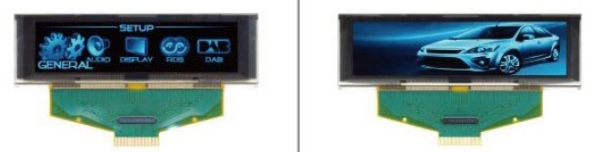 OLED display module