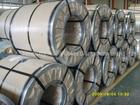 prepainted galvanized steel