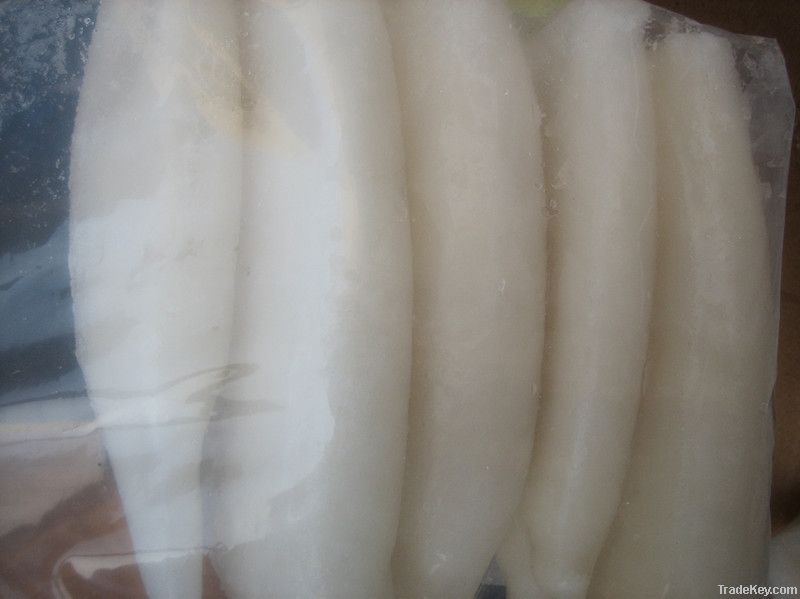 Frozen Squid Tube(todarodes)