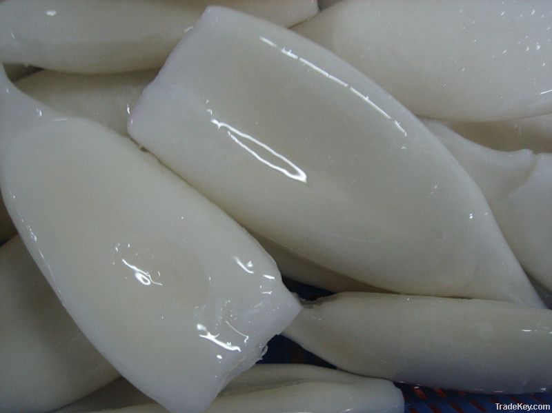 Frozen Squid Tube(todarodes pacificus)
