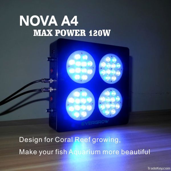 Dimmable 48x3w Led Aquarium Light