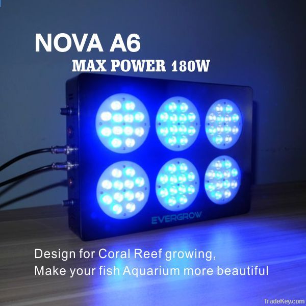 2012 Dimmable 72x3w Led Aquarium Light