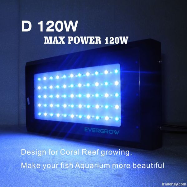 Dimmble 55x3w Led Aquarium Light