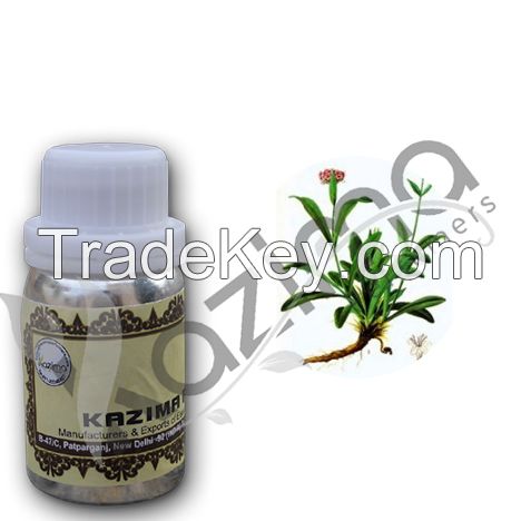 100% Pure Spikenard  Essential oil Supplier India