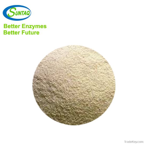 Acid Protease Powder Enzyme