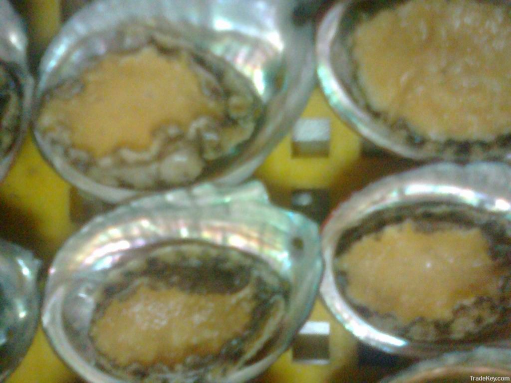 frozen taiwan abalone
