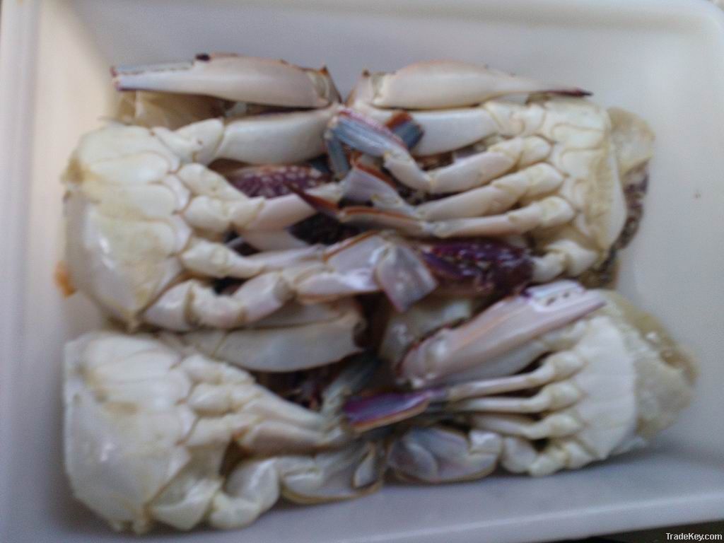 Frozen blue cut crab