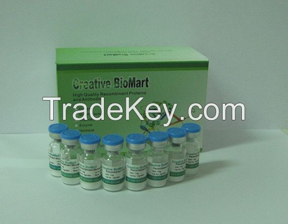 Coenzyme Q10 (with Vit. E &amp; C)