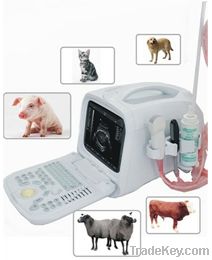 veterinary full digital ultrasound scanner