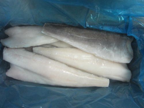 light salted atlantic cod fillet