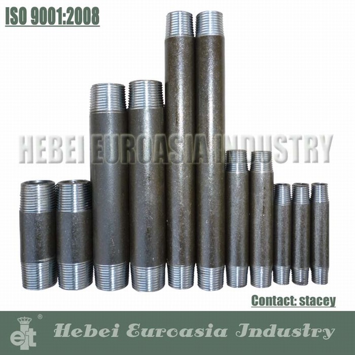 BS Thread Galvanized Carbon Steel Pipe Nipple